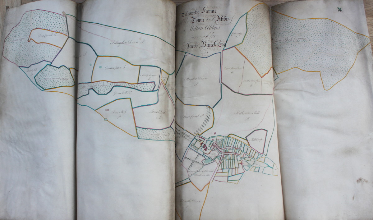 Image for The Ichnographii of the Town Parts, Leasehold and Copie Hold, Tennements and Cottages in the Mannor of Milton Abbas. The Ichnographii of the Town Parts, Leasehold and Copie Hold, Tennements and Cottages in the Mannor of Milton Abbas.