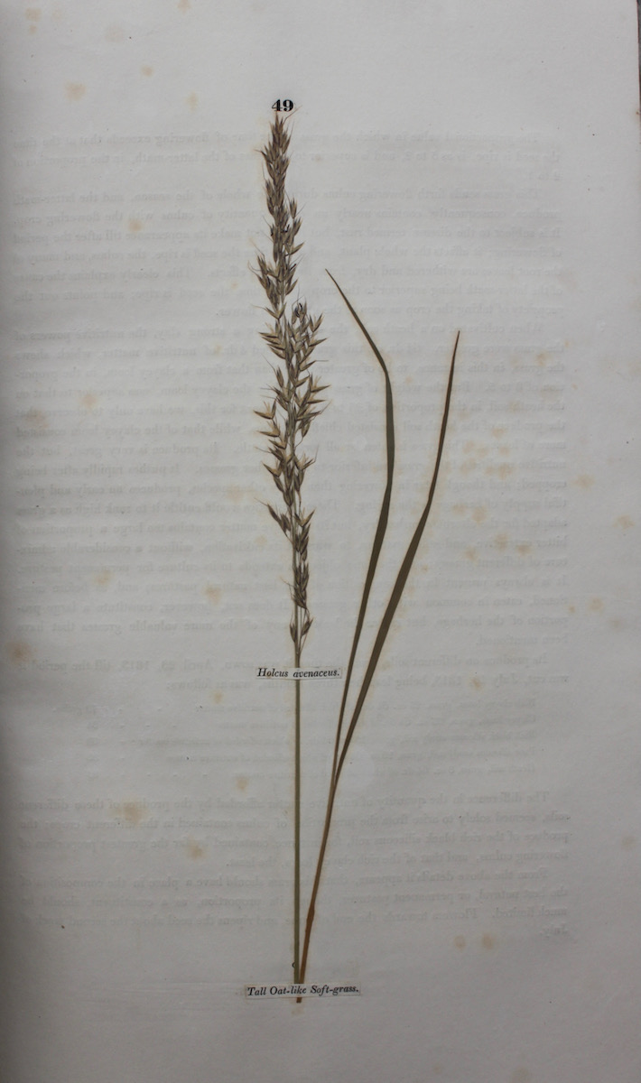 Hortus Gramineus Woburnensis: or, An Account of the Results of Experiments on the Produce and Nutritive Qualities of Different Grasses and Other Plants, used as food of the more valuable domestic animals: instituted by The Duke of Bedford. Illustrated with dried specimens of the plants upon which th
