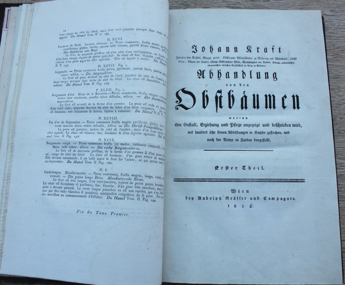 Pomona Austriaca, ou Arbres Fruitiers d&rsquo;Autriche, Repr&eacute;sent&eacute;s en Figures, Dessin&eacute;es et Peintes d&rsquo;Apres Nature. [Fruit Trees of Austria Represented by figures, drawn and painted from Nature.] Abhandlung von den Obstaumen worinn ihre Gestalt, Erziehung und Pflege angez