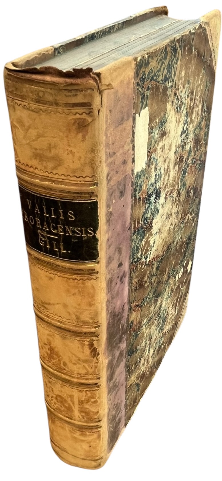 Vallis Eboracensis: Comprising the History and Antiquities of Easingwold and Its Neighbourhood.