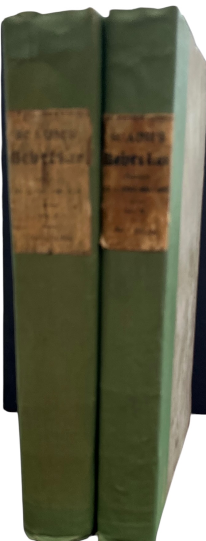 Beverlac; or, the Antiquities and History of the Town of Beverley, in the County of York, and of the Provostry and Collegiate Establishment of St. John&rsquo;s; with a minute description of the present Minster and the Church of St. Mary, and other ancient and modern edifices. Compiled from authentic