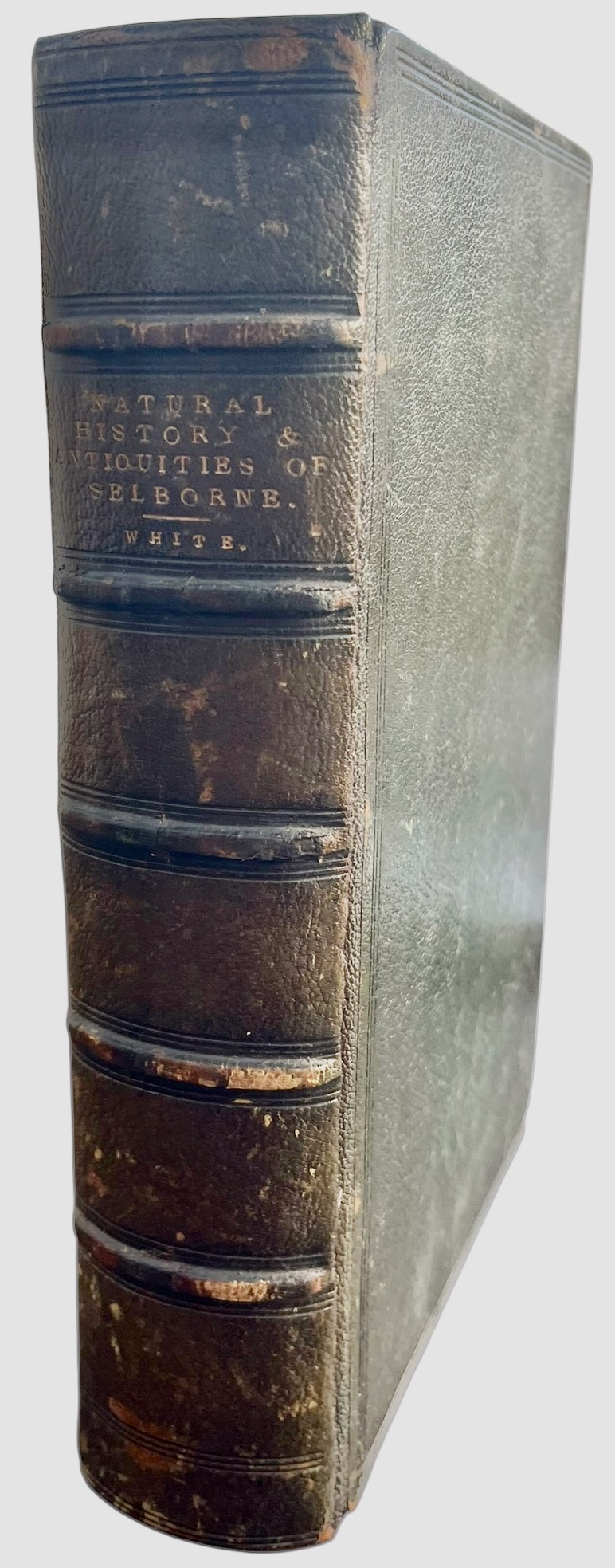 Natural History and Antiquities of Selborne. With notes by Frank Buckland. A chapter on Antiquities by Lord Selborne. And new letters. Illustrated by P.H. Delamotte.