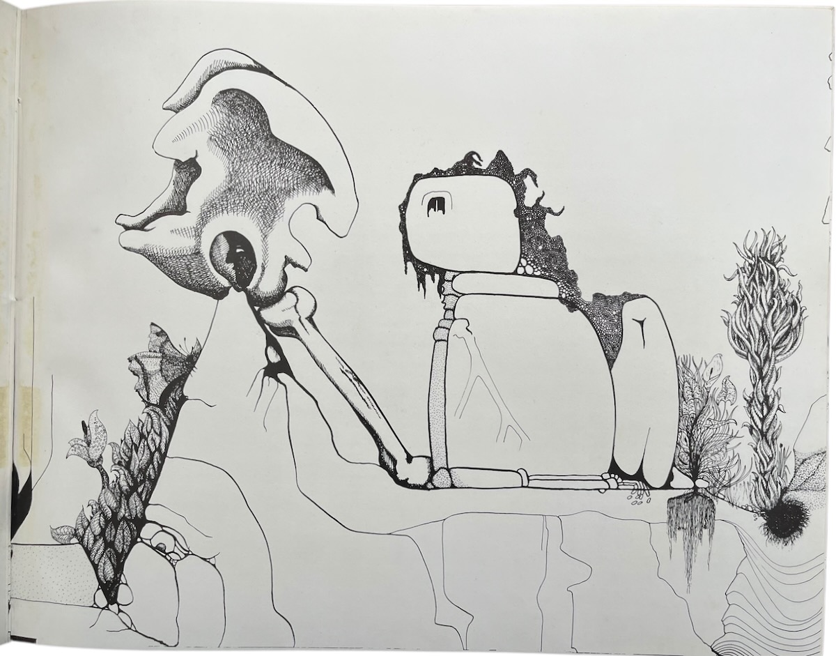 A Reverie of Bone. Drawings by Jay Pickford.