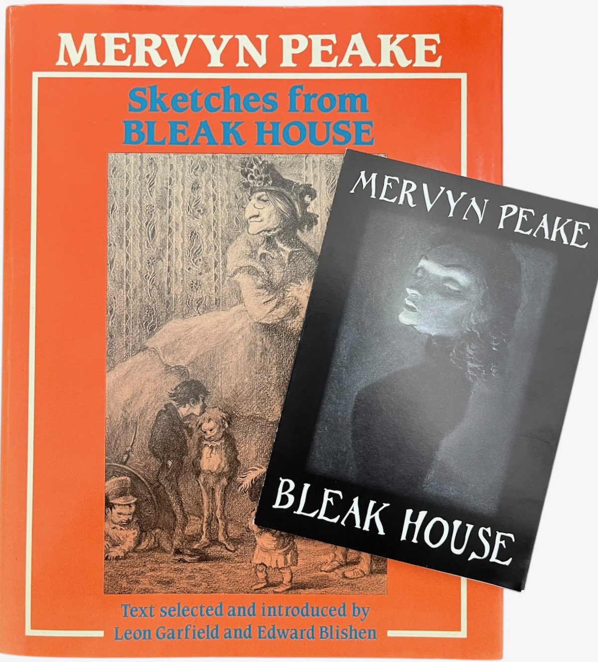 Sketches from Bleak House, Text Selected and Introduced by Leon Garfield and Edward Blishen
