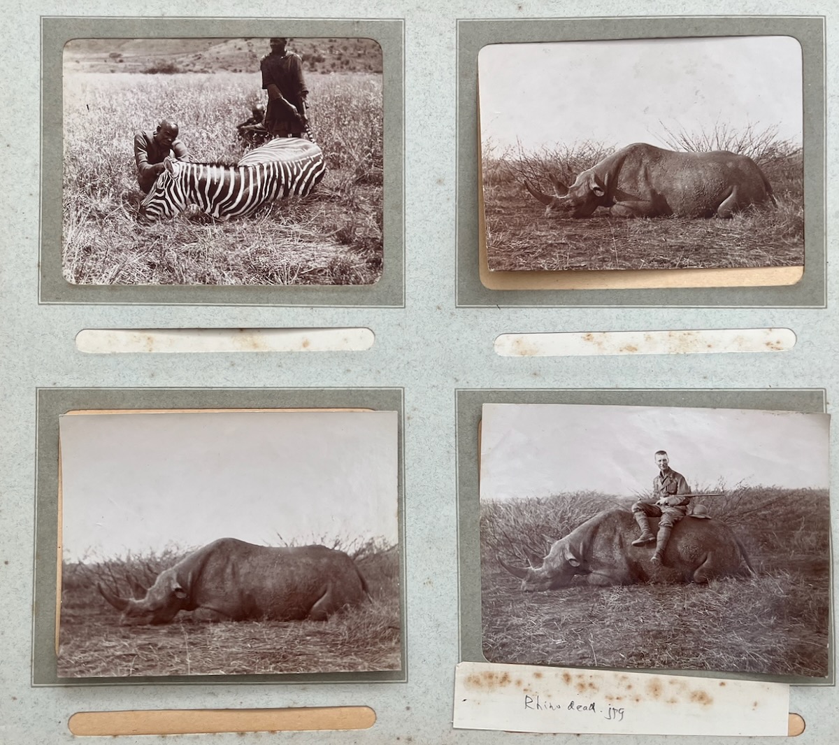 The Lyon Falkener Archive. Big Game Hunting in British East Africa.