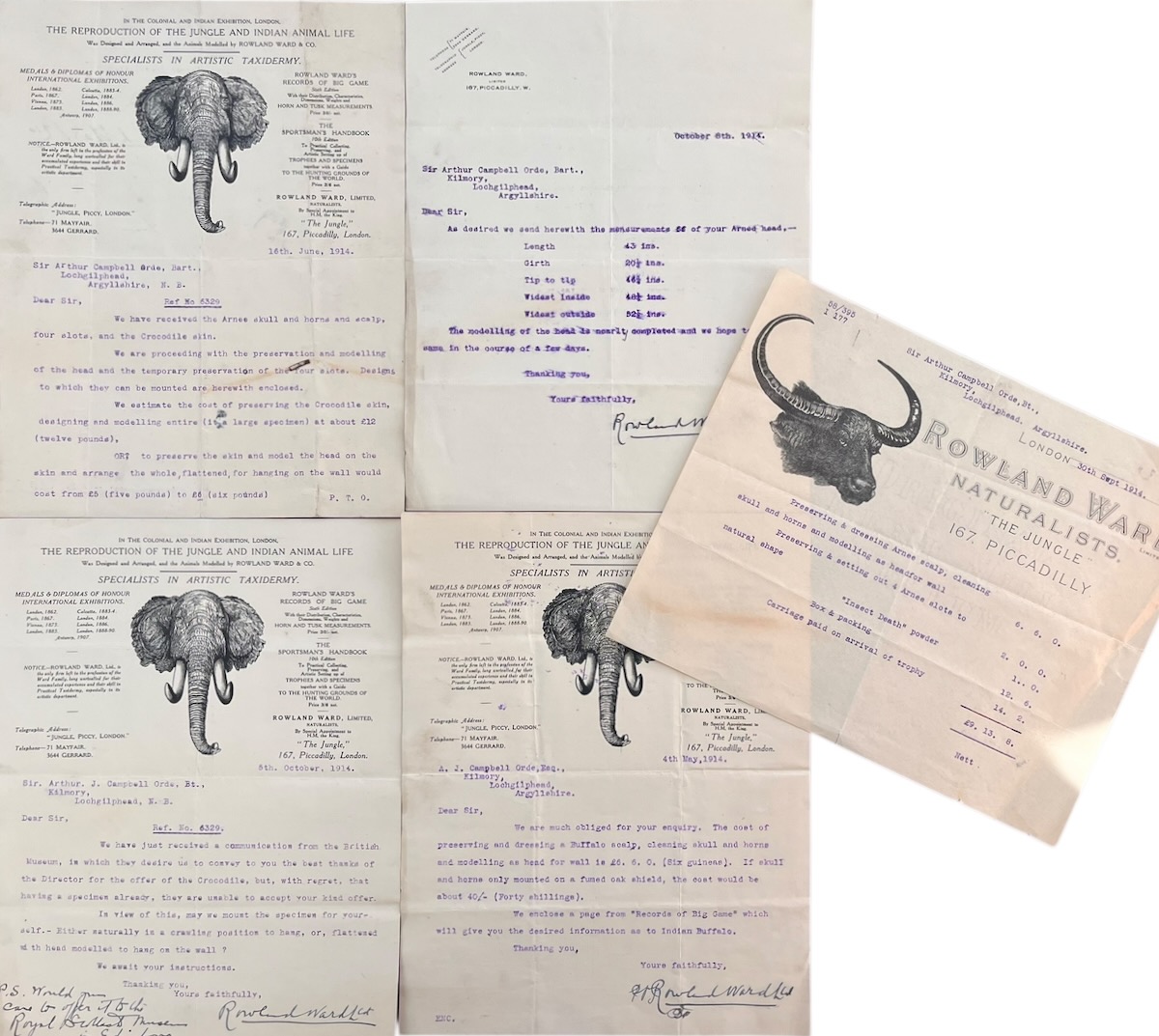 Correspondence regarding preservation and mounting of specimens.