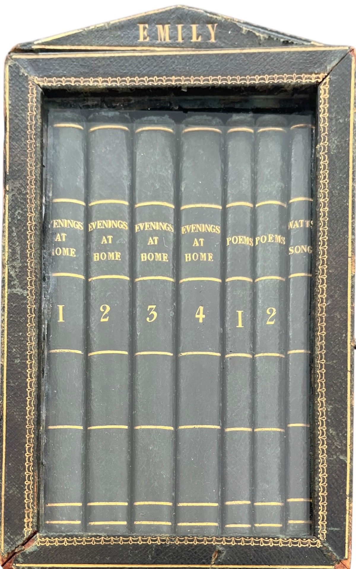 7 Volume Cabinet Library.
